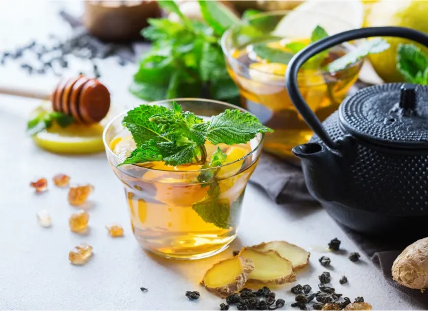 phytothérapie à Issoudin dans l'Indre 36